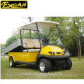Billige 2 Plätze Golf Buggy Elektro Golf Auto